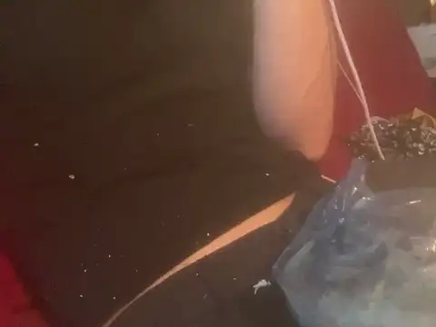 skatebored online show from January 26, 4:51 pm