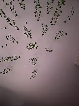 Snapshot of -Sexy_Barbie- chatting on November 5, 2:11 am -Sexy Barbie- online show from November 5, 2:11 am