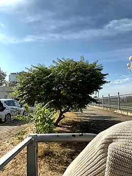 SandraCarter online show from September 18, 6:04 am