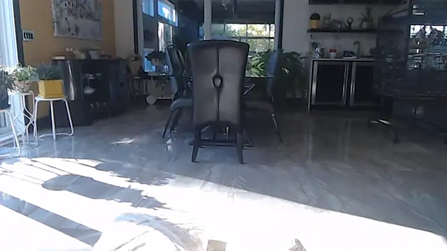 Toy-Daddy online show from October 28, 6:43 pm