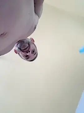 Snapshot of chris_sbh chatting on February 1, 2:45 pm chris sbh online show from February 1, 2:45 pm