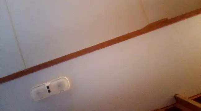 NikkiNFellyy online show from December 3, 10:51 pm