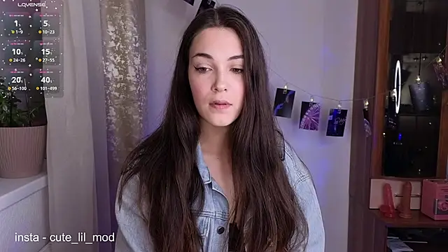 art phoenix online show from February 21, 9:05 pm