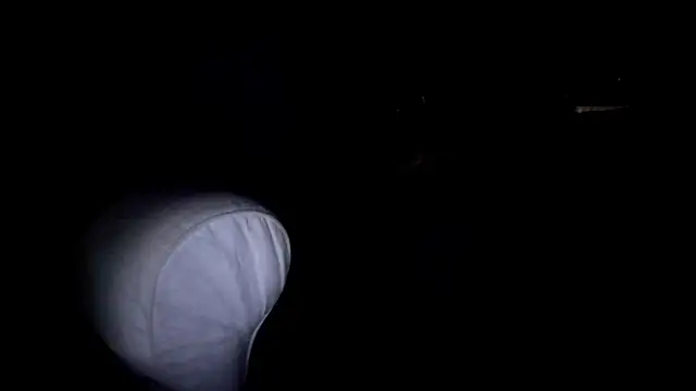 Snapshot of byakkotorra chatting on March 5, 9:48 pm byakkotorra online show from March 5, 9:48 pm