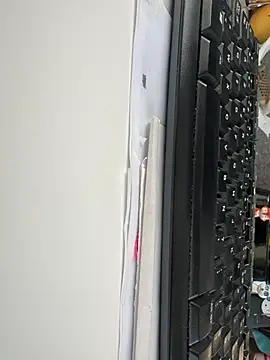 Snapshot of byakkotorra chatting on March 6, 4:38 pm byakkotorra online show from March 6, 4:38 pm