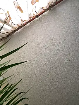 Arii vega  online show from February 23, 9:05 pm