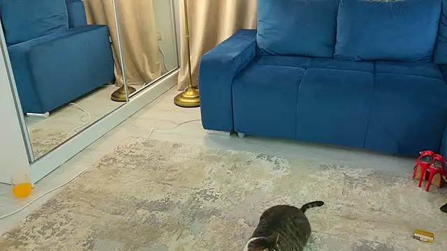 Snapshot of Addictive_T chatting on February 12, 4:54 am Addictive T online show from February 12, 4:54 am