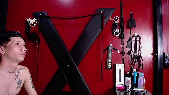 Snapshot of alexa_n_alex chatting on January 13, 8:26 pm alexa n alex online show from January 13, 8:26 pm