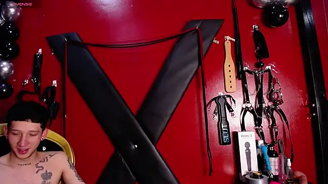 Snapshot of alexa_n_alex chatting on February 19, 6:54 pm alexa n alex online show from February 19, 6:54 pm