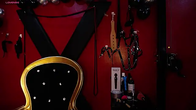 Snapshot of alexa_n_alex chatting on February 20, 11:10 pm alexa n alex online show from February 20, 11:10 pm