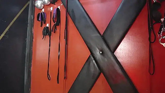 Snapshot of alexa_n_alex chatting on March 1, 10:21 pm alexa n alex online show from March 1, 10:21 pm