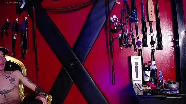 Snapshot of alexa_n_alex chatting on March 10, 7:50 pm alexa n alex online show from March 10, 7:50 pm