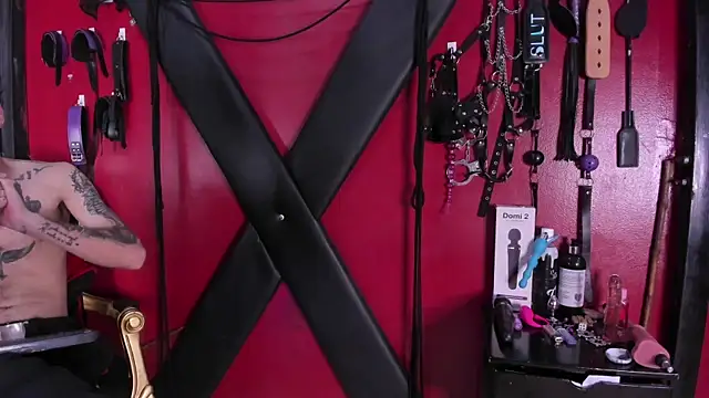 Snapshot of alexa_n_alex chatting on September 29, 8:57 pm alexa n alex online show from September 29, 8:57 pm