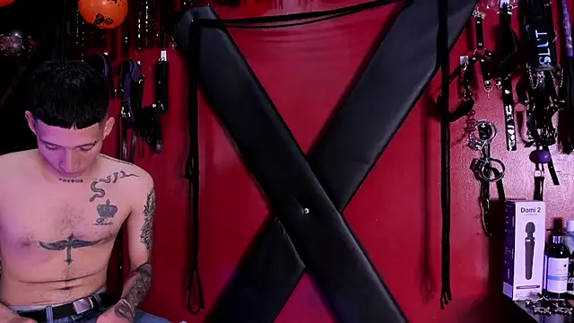 Snapshot of alexa_n_alex chatting on October 25, 7:41 pm alexa n alex online show from October 25, 7:41 pm