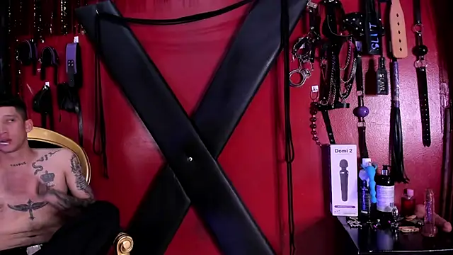 Snapshot of alexa_n_alex chatting on November 5, 7:36 pm alexa n alex online show from November 5, 7:36 pm