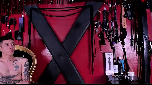 Snapshot of alexa_n_alex chatting on November 7, 7:14 pm alexa n alex online show from November 7, 7:14 pm