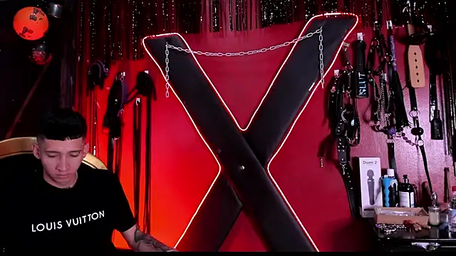 Snapshot of alexa_n_alex chatting on November 12, 6:52 pm alexa n alex online show from November 12, 6:52 pm