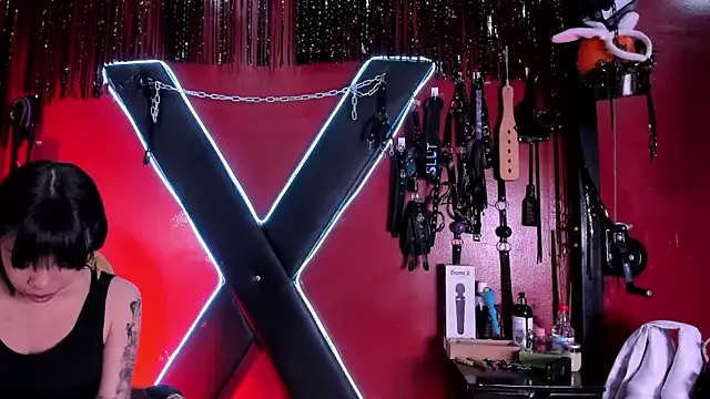 Snapshot of alexa_n_alex chatting on December 13, 8:58 pm alexa n alex online show from December 13, 8:58 pm