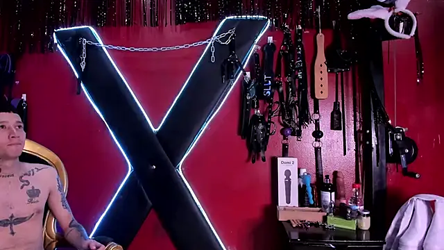 Snapshot of alexa_n_alex chatting on December 15, 8:02 pm alexa n alex online show from December 15, 8:02 pm