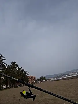 charlye inkkkk online show from March 2, 2:35 pm