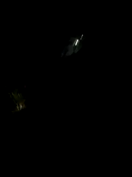 perlita05 online show from November 16, 2:28 am