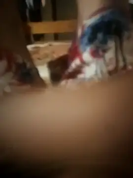 Snapshot of PussyMasterPhD1 chatting on November 11, 9:15 pm PussyMasterPhD1 online show from November 11, 9:15 pm