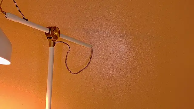 ParisFox  online show from December 20, 1:12 am