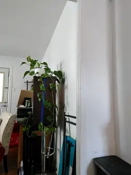 QcMisterv13 online show from September 30, 2:22 pm