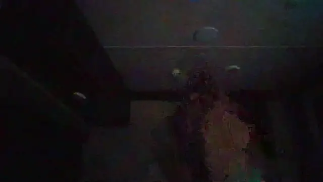 Cobra500hp online show from February 11, 3:44 am