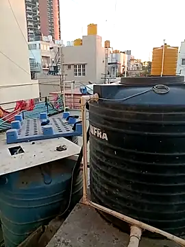 your chiru online show from November 1, 12:56 am