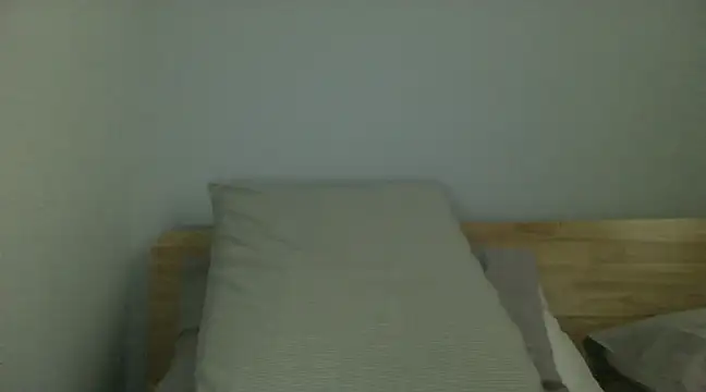 Snapshot of corlo2 chatting on January 22, 8:28 pm corlo2 online show from January 22, 8:28 pm