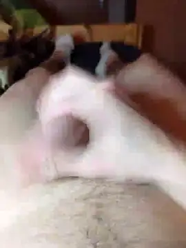 Snapshot of Crazzy_Maiky chatting on January 29, 9:07 pm Crazzy Maiky online show from January 29, 9:07 pm