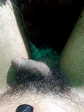 AssamSilchar93 online show from February 16, 4:41 am