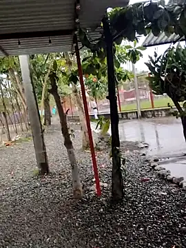 Snapshot of BeetledFlouter12 chatting on September 26, 7:07 pm BeetledFlouter12 online show from September 26, 7:07 pm