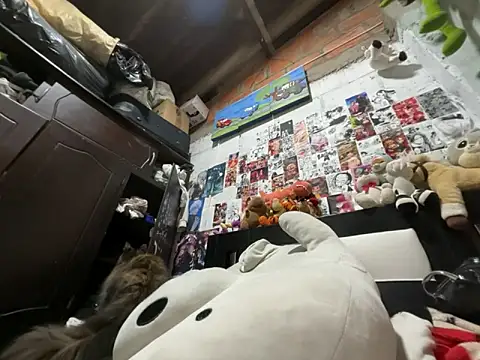 dafne19  online show from February 26, 4:11 am