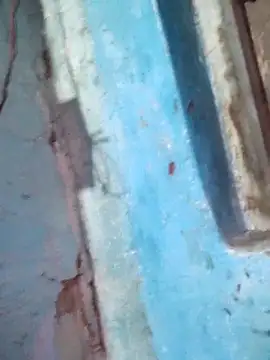 Natasha-In69 online show from December 15, 8:46 pm