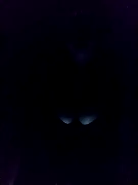 Romayssae Ali-Arabic online show from December 3, 12:24 am