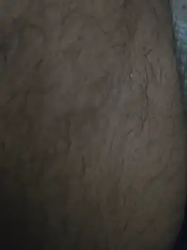 Snapshot of Keshuloveyou chatting on December 21, 9:01 am Keshuloveyou online show from December 21, 9:01 am