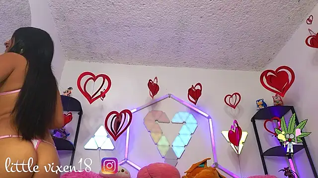 littlevixen18 online show from February 25, 2:05 pm