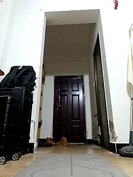 DDYY12341 online show from November 18, 11:58 am