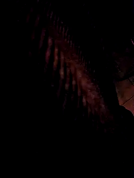 3anntel online show from November 25, 10:43 pm