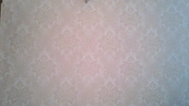 Kashtanka  online show from November 4, 8:57 am