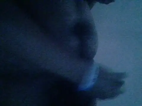 Snapshot of mateomalp675_90 chatting on April 28, 3:28 pm mateomalp675 90 online show from April 28, 3:28 pm
