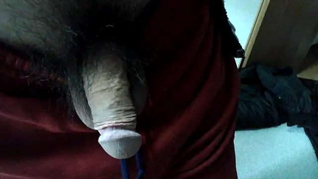 Snapshot of ikkakusai11 chatting on January 2, 3:48 am ikkakusai11 online show from January 2, 3:48 am