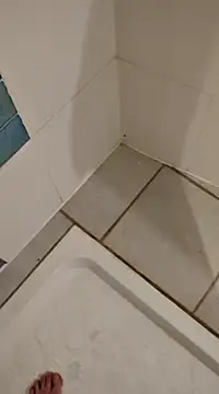 Ariete80s online show from February 21, 3:32 pm