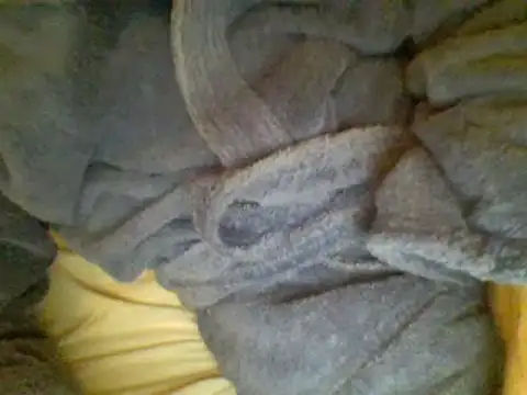 Ariete80s online show from February 23, 6:56 pm