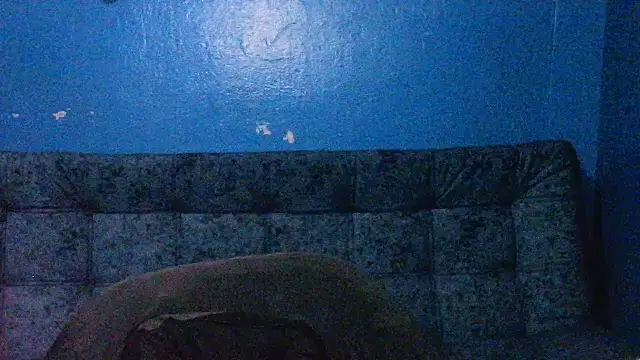 Marilyn xxxx online show from December 28, 12:04 am