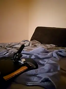 fox--3 online show from February 4, 8:47 pm