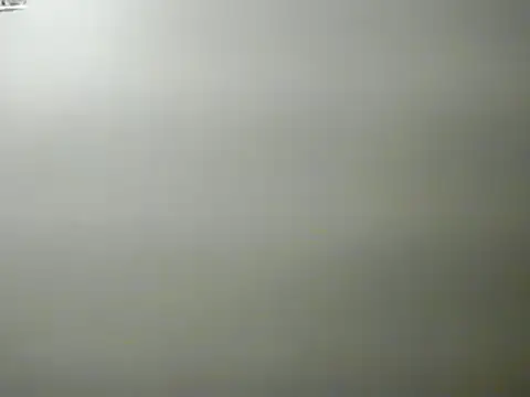 lilbishmiss online show from January 29, 1:58 am