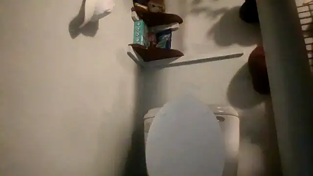 Snapshot of lilbishmiss chatting on May 15, 11:01 pm lilbishmiss online show from May 15, 11:01 pm